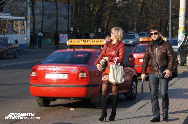 Такси Калининграда будут возить инвалидов и ветеранов войны бесплатно.