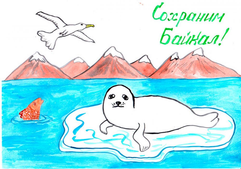 Участник №141 Мусаткин Тимофей