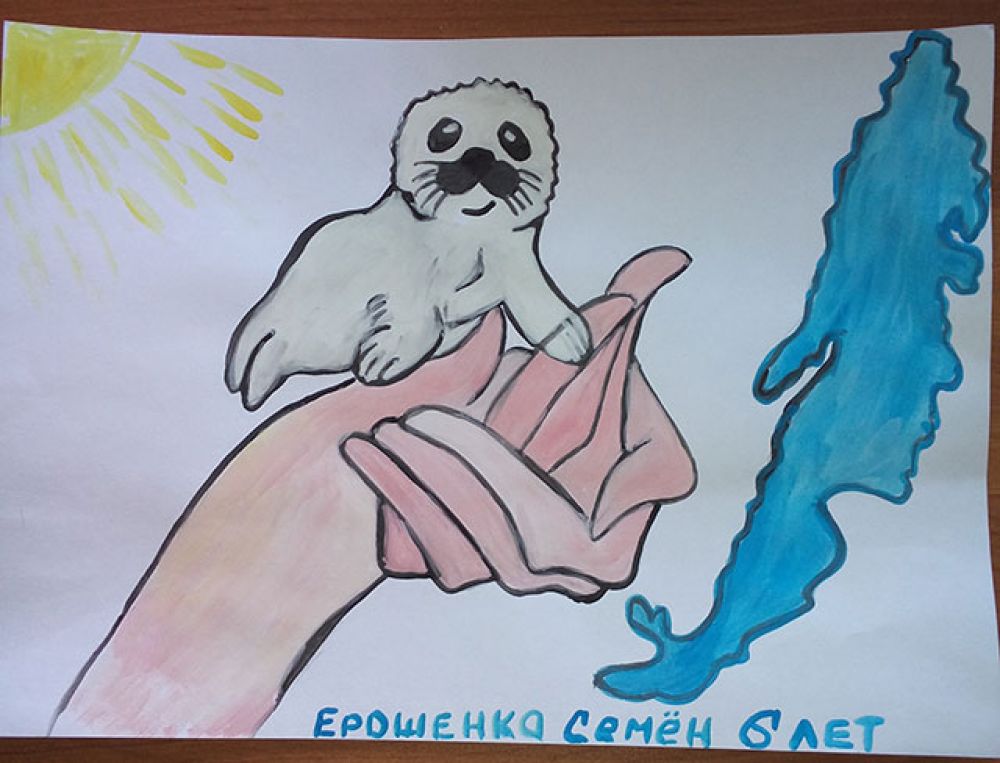 Участник №180 Ерощенко Семен