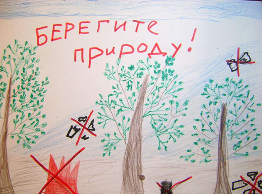 Участник №191 Просветова Софья