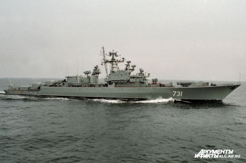 «Неукротимый» был заложен 22 января 1976 года на судостроительном заводе «Янтарь» в Калининграде, спущен на воду 7 сентября 1977 года, вошел в состав флота 17 февраля 1978 года. Выведен из состава боевых кораблей 29 июня 2009 года.