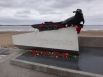 Тюлень спас от голода тысячи жителей Архангельска в годы войны