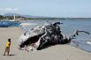 12 мая. Активисты Гринписа сделали из пластмассы и мусора фигуру кита и установили её на берегу моря, надеясь привлечь таким образом внимание к проблемам экологии, Филиппины.