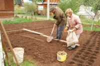 Проверить готовность почвы можно старым дедовским методом: погрузите руку в землю на 10 см. 