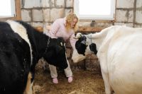 Средний надой молока на одну корову молочного стада в 2016 году составил 4578 кг, а в 2015 году - 4603