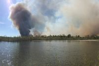 Более 20 лесных пожаров ликвидировали специалисты в Приангарье.