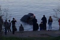 Свидетели полагают, что мужчина съехал в воду намеренно