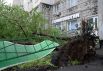 Поваленные ураганом деревья, во дворе жилого дома в Москве.