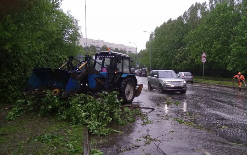 Последствия урагана в Москве.