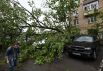 Сломанное ураганом дерево во дворе жилого дома в Москве.