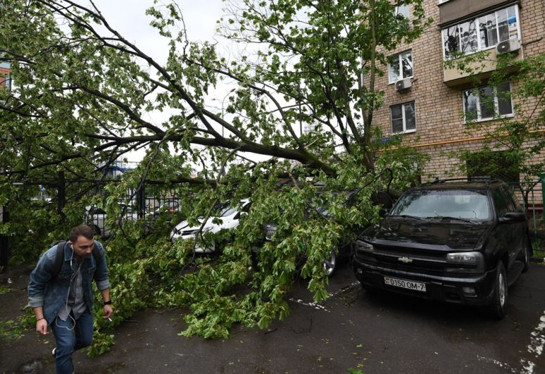 Сломанное ураганом дерево во дворе жилого дома в Москве.