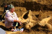 Более полувека Анна Швырева изучает кости древних животных.