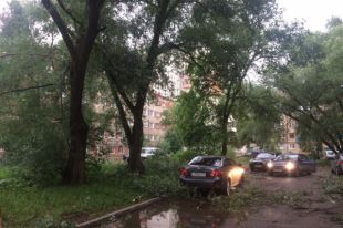 Шквалистый ветер сломал десятки деревьев в городе.
