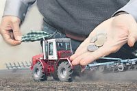 В субсидии фермерам отказывают из-за долгов по налогам, даже если они составляют всего несколько рублей.