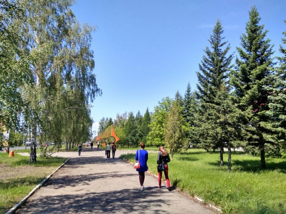 В Барнауле погода радует жителей солнцем и летним теплом, за окном +25.