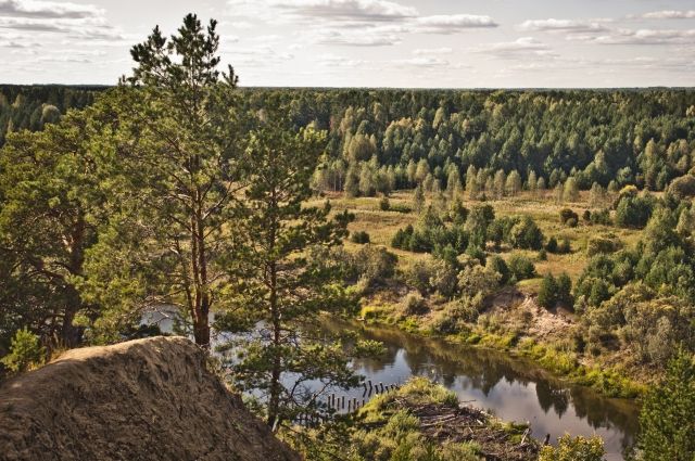 До этого года таёжные леса Омской области не горели.