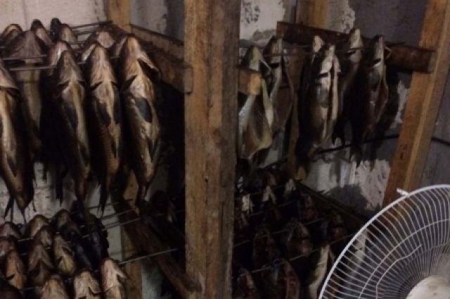 В Новоорском районе полицейские изъяли у банды браконьеров 3,5 тонны рыбы