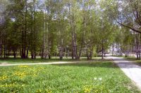 Дети в «Ребячке» посадили деревья в Год экологии и день рождения Центра