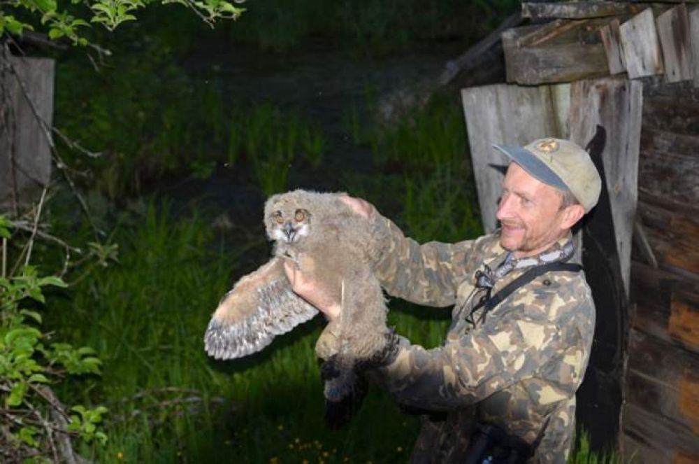 Сова не ожидала гостей