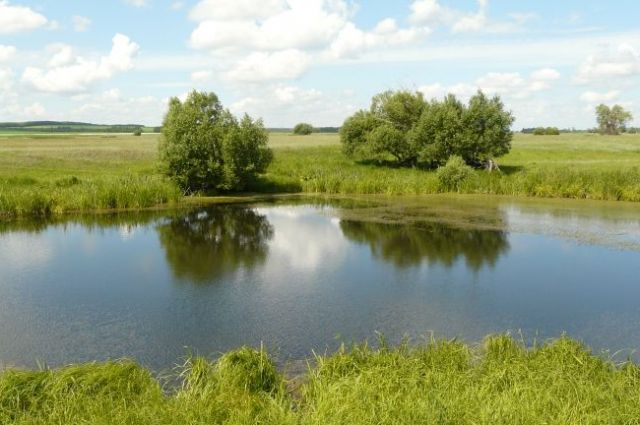 В Илекском районе в озере Голодное найдено тело мужчины