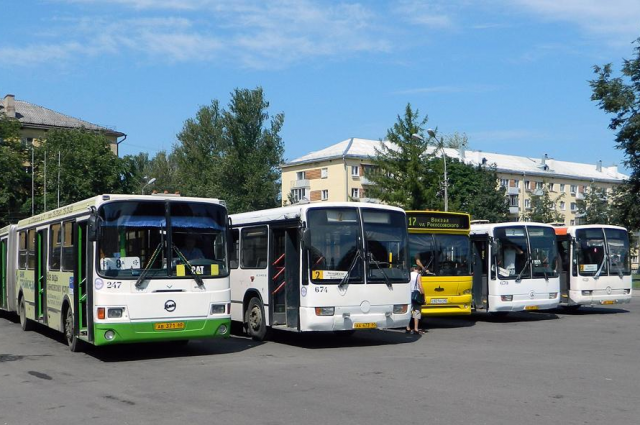 Автобусы вновь пошли в рейсы