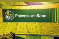 Россельхозбанк направил на финансирование бизнеса и населения Пермского края порядка 30 млрд рублей.