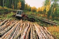 Затраты на заготовку и вывоз древесины за 5 лет увеличились в несколько раз. 