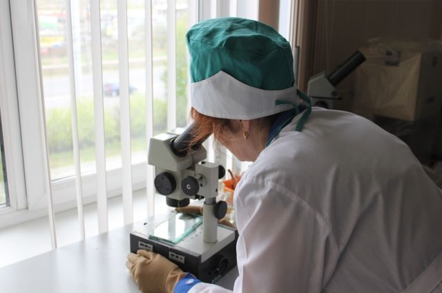 Лабораторные методы диагностики включают в себя микроскопию крови и исследование сыворотки крови.