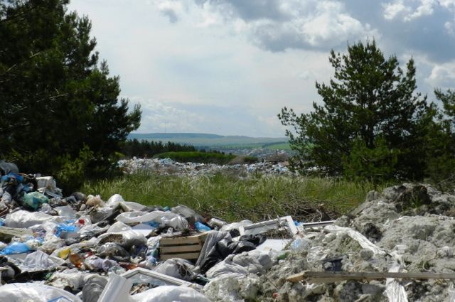 Территория региона зарастает стихийными свалками, пока реформа мусорной отрасли раскачивается.