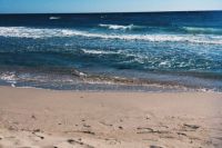 На всех пляжах Анапы временно запрещено купаться.