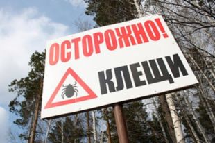 По данным Роспотребнадзора, санитарная обработка в лагере прошла успешно