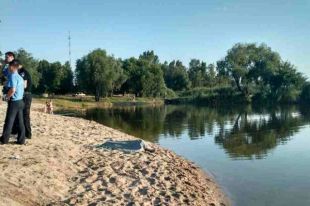 На месте происшествия