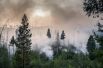 Лесной пожар в окрестностях села Бичура в Бичурском районе Бурятии.