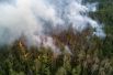 Лесной пожар в Бичурском районе Бурятии.