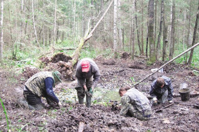 В лесах Финляндии до сих пор лежат тысячи красноармейцев