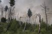 Лесной пожар в окрестностях села Бичура в Бичурском районе Бурятии.