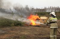 В Татарстане лесные пожары, к счастью, тушат только на учениях. 