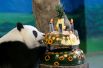 6 июля. Гигантская панда ест свой «торт ко дню рождения», сделанный из льда и фруктов в зоопарке Тайбэя, Тайвань.