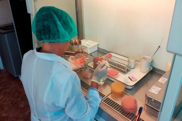 Исследования пищевых продуктов на микробиологические показатели безопасности, в том числе обнаружение Listeria monocytogenes, проводятся в лаборатории.