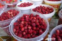90 % жителей Коми округа кормятся за счёт ягод т грибов