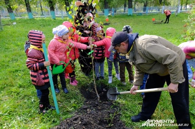 7,5 млн деревьев высадят кузбассовцы в этом году - это будет новый «зеленый» рекорд.