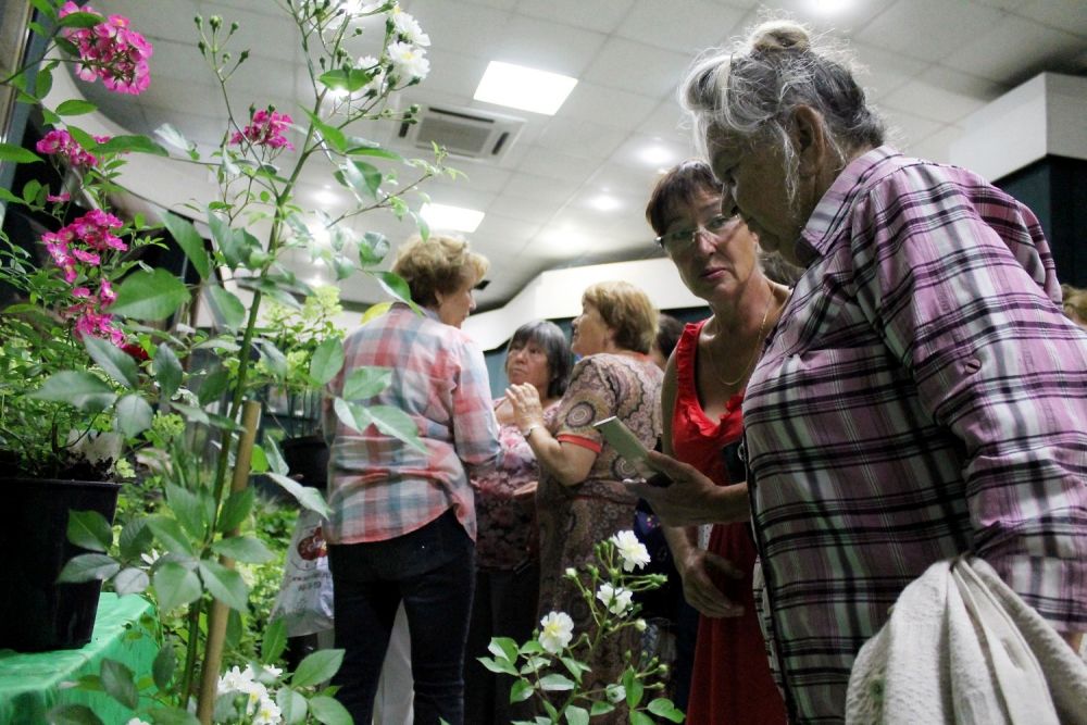 Посетители пришли на выставку полюбоваться цветами и получить конкусльтацию по уходу за растениями.