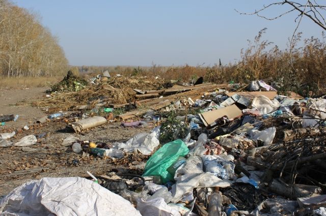 В ближайшие годы все полигоны коммунальных отходов в регионе приобретут цивилизованный вид.