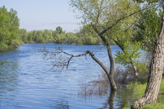 В Приморье река Раздольная вышла из берегов и затопила участок автодороги.