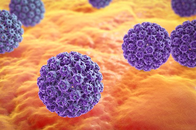 Вирусом папилломы человека впч прививка от рака