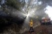 Борьба с лесными пожарами в Карро, Франция.