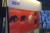 Пермский трогонтериевый слон может стать самой крупной палеонтологической находкой представителя древних хоботовых.