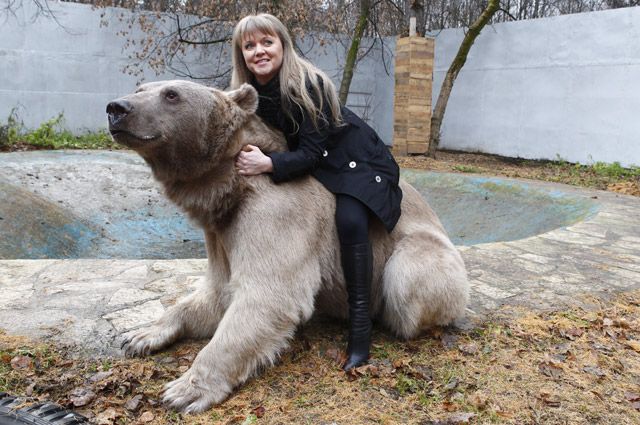 Светлана Пантелеенко и медведь Степан.