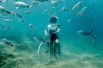 1 августа. Женщина пытается проехать на велосипеде по дну в подводном парке Пулы, Хорватия. 