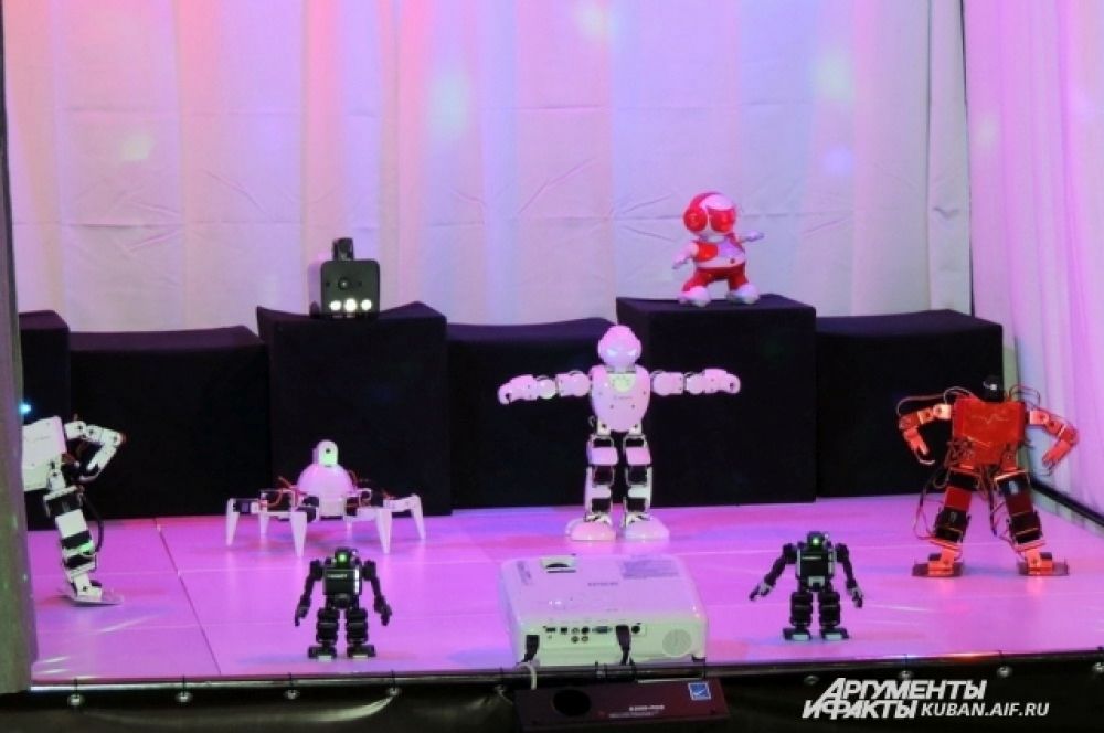 Театр роботов, выступления проходят несколько раз в день. На одной сцене выступают все механизмы, который хоть как-то умеют двигать конечностями.